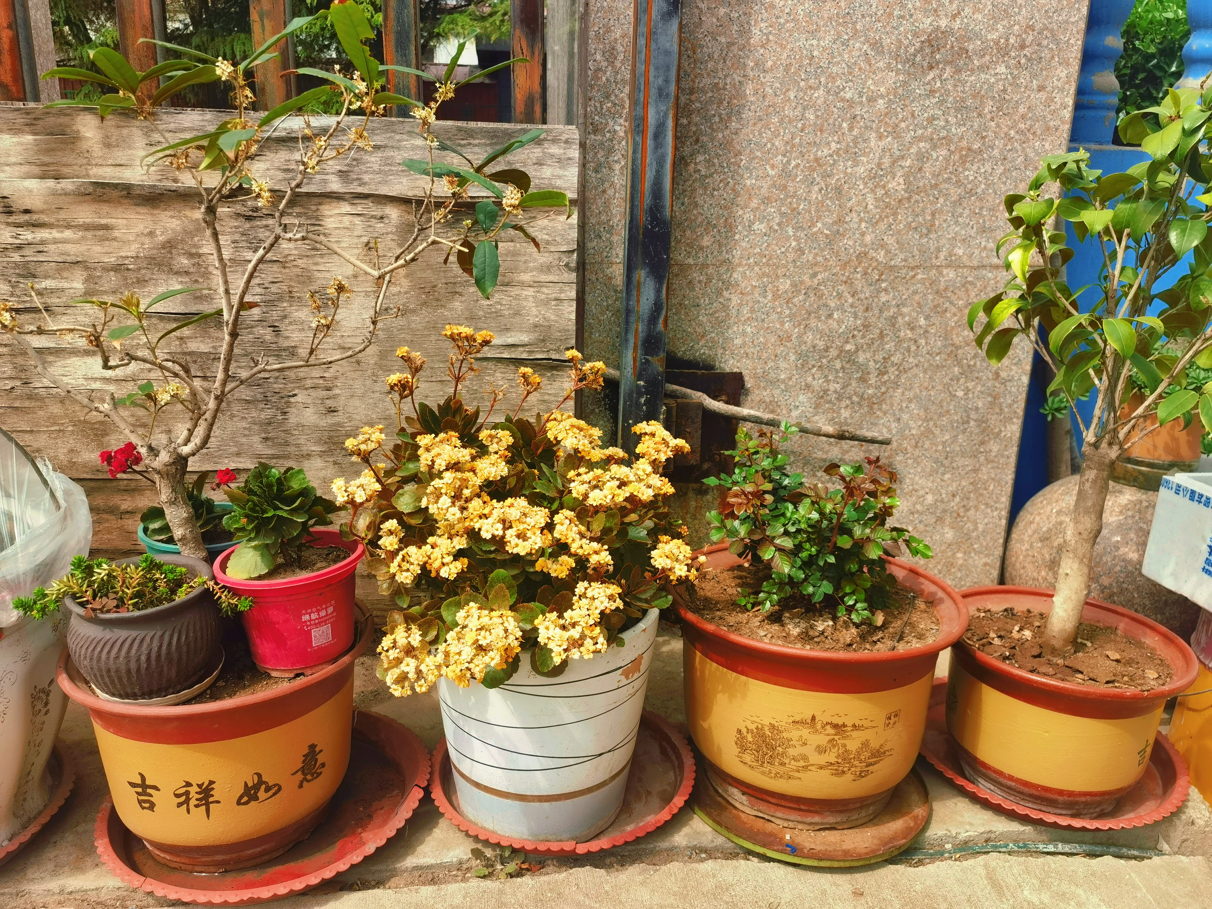 廠區一隅：春日好風光~
